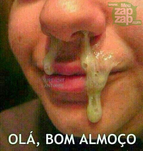 Animados Engraçados - Imagens, Mensagens e Frases para