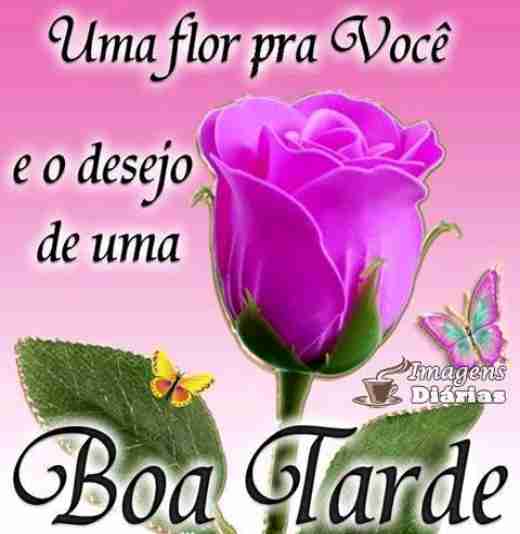 Clique para baixar
