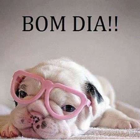Bom dia - Imagem Saudações para Redes Sociais