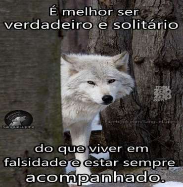 meuzapzap142204160845FBIMG1461375680108.