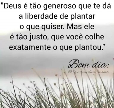Bom dia - Imagem Saudações para Redes Sociais