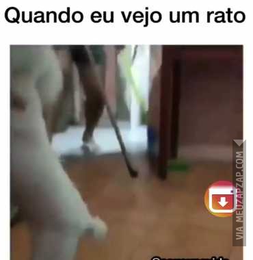 Quando eu vejo um rato - Vídeo Caiu na net para Redes Sociais