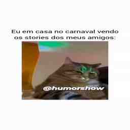 Eu em casa vendo os stories de Carnaval dos meus amigos - Vídeo  Engraçados para Redes Sociais