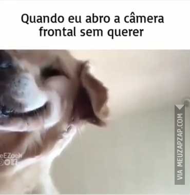 Quando abro sem querer a câmera frontal - Vídeo  Engraçados para Redes Sociais