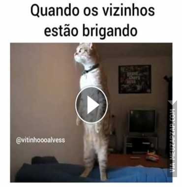 Briga de vizinho  - Vídeo  Engraçados para Redes Sociais