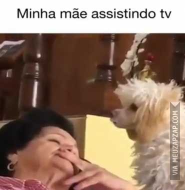 Minha mãe vendo televisão  - Vídeo  Engraçados para Redes Sociais