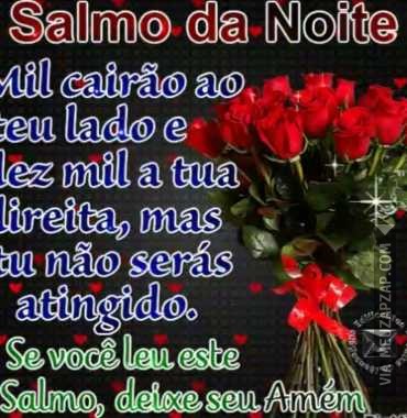 Linda noite - Vídeo  Saudações para Redes Sociais