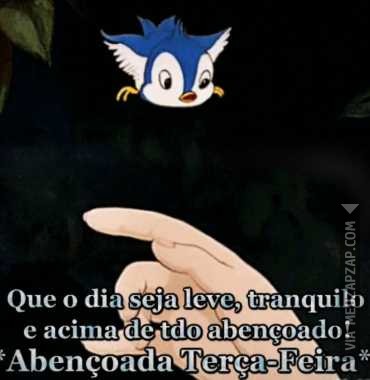 Abençoada terça-feira - Vídeo  Saudações para Redes Sociais