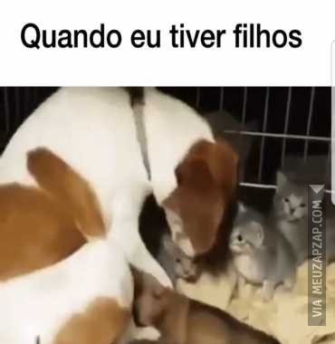 Eu ein fica pegando filho duzotro - Vídeo  Engraçados para Redes Sociais