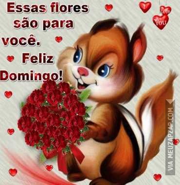 Feliz domingo - Vídeo  Saudações para Redes Sociais