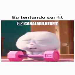 Eu tentando ser fitness - Vídeo  Engraçados para Redes Sociais