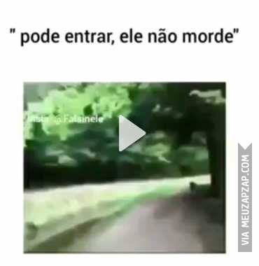 Ele não morde  - Vídeo  Engraçados para Redes Sociais