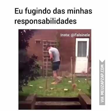 Eu fugindo das responsabilidades  - Vídeo  Engraçados para Redes Sociais