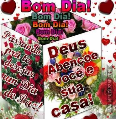 Bom dia - Vídeo  Saudações para Redes Sociais