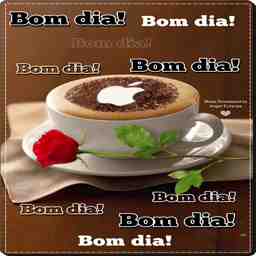 Bom dia  - Vídeo  Saudações para Redes Sociais