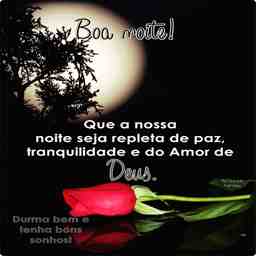Boa noite  - Vídeo  Saudações para Redes Sociais