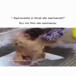 Eu no final de semana - Vídeo  Engraçados para Redes Sociais