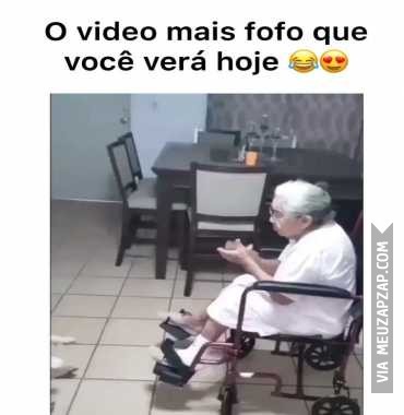 Vídeo mais fofo  - Vídeo Caiu na net para Redes Sociais