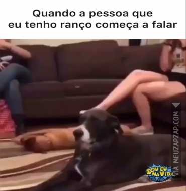 Bem isso  - Vídeo  Engraçados para Redes Sociais