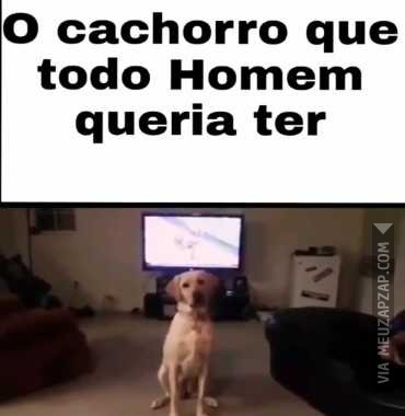 O cachorro que todo homem queria  - Vídeo Animais para Redes Sociais