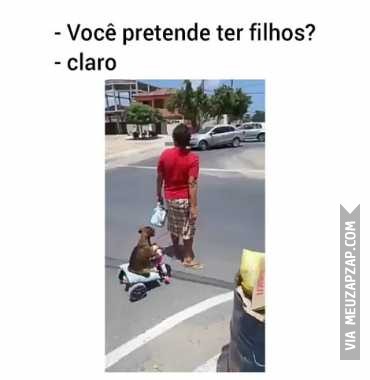 Meu filho de quatro patas - Vídeo  Engraçados para Redes Sociais