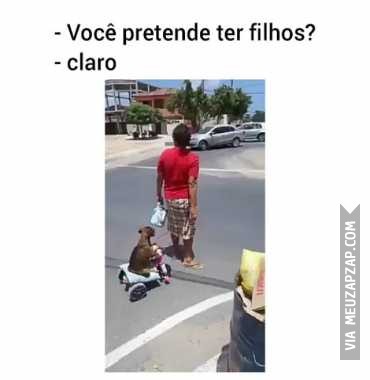 Meu filho de quatro patas - Vídeo  Engraçados para Redes Sociais