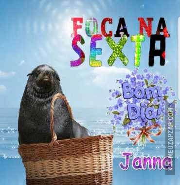 Foca na sexta - Vídeo  Saudações para Redes Sociais