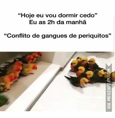 Hoje durmo cedo, 2h da manhã no Youtube... - Vídeo  Engraçados para Redes Sociais