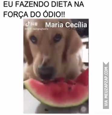 Eu fazendo dieta  - Vídeo  Engraçados para Redes Sociais