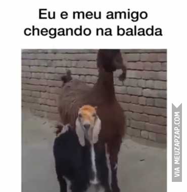 Eu e meu amigo chegando na balada - Vídeo  Engraçados para Redes Sociais