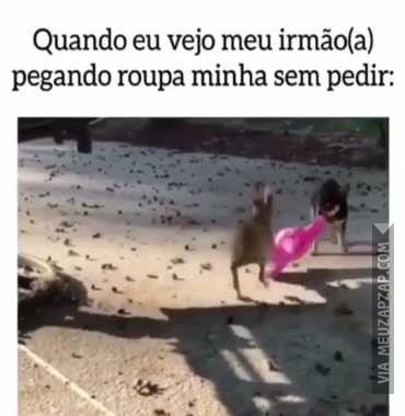 Quando meu irmão pega minha roupa sem pedir  - Vídeo  Engraçados para Redes Sociais