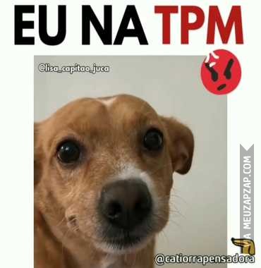 Eu na Tpm - Vídeo  Engraçados para Redes Sociais