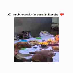 O aniversário mais lindo - Vídeo Aniversário para Redes Sociais