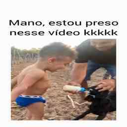 Tô preso nesse vídeo - Vídeo Animais para Redes Sociais