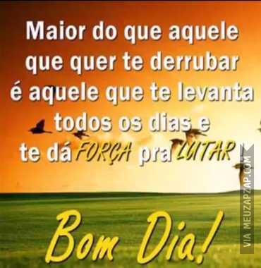 Bom dia - Vídeo  Saudações para Redes Sociais