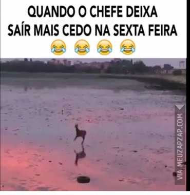 Eu saindo cedo na sexta  - Vídeo  Engraçados para Redes Sociais