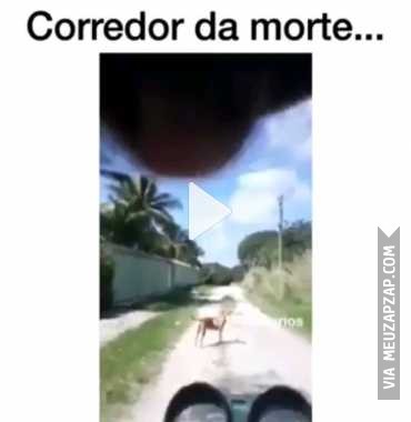 Corredor da morte  - Vídeo  Engraçados para Redes Sociais