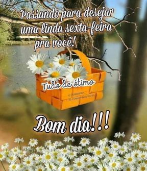 Meu ZapZap - Imagens Bom dia sexta-feira - Saudações para Whatsapp e Facebook Meu ZapZap - Imagens Bom dia sexta-feira - Saudações para Whatsapp e Facebook