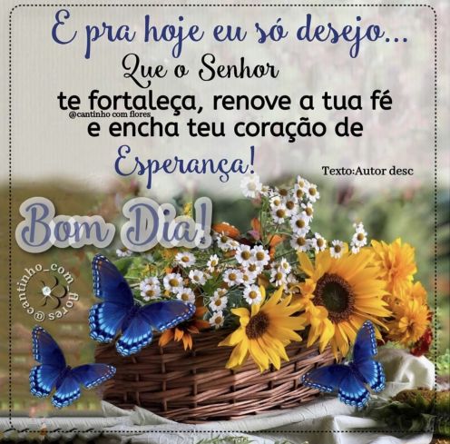 Meu ZapZap - Imagens Bom dia - Saudações para Whatsapp e Facebook Meu ZapZap - Imagens Bom dia - Saudações para Whatsapp e Facebook