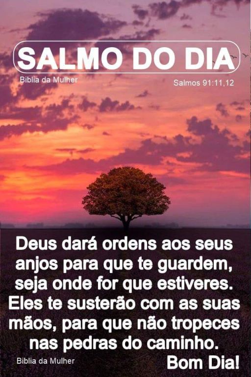 Meu ZapZap - Imagens Bom dia - Saudações para Whatsapp e Facebook Meu ZapZap - Imagens Bom dia - Saudações para Whatsapp e Facebook