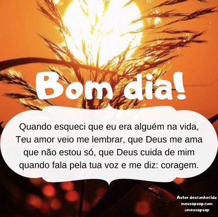 Meu ZapZap - Imagens Bom dia - Saudações para Whatsapp e Facebook Meu ZapZap - Imagens Bom dia - Saudações para Whatsapp e Facebook