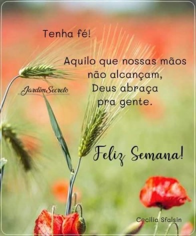 Meu ZapZap - Imagens Boa tarde - Saudações para Whatsapp e Facebook Meu ZapZap - Imagens Boa tarde - Saudações para Whatsapp e Facebook
