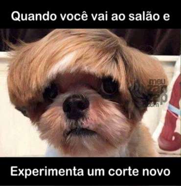Meu ZapZap - Imagens Visual novo - Engraçadas para Whatsapp e Facebook Meu ZapZap - Imagens Visual novo - Engraçadas para Whatsapp e Facebook