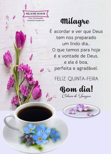 Meu ZapZap - Imagens Bom dia - Saudações para Whatsapp e Facebook Meu ZapZap - Imagens Bom dia - Saudações para Whatsapp e Facebook
