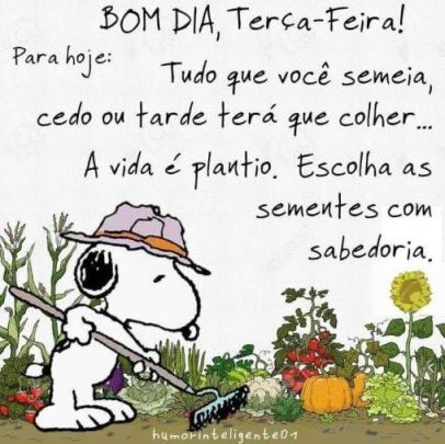 Meu ZapZap - Imagens Bom dia - Saudações para Whatsapp e Facebook Meu ZapZap - Imagens Bom dia - Saudações para Whatsapp e Facebook