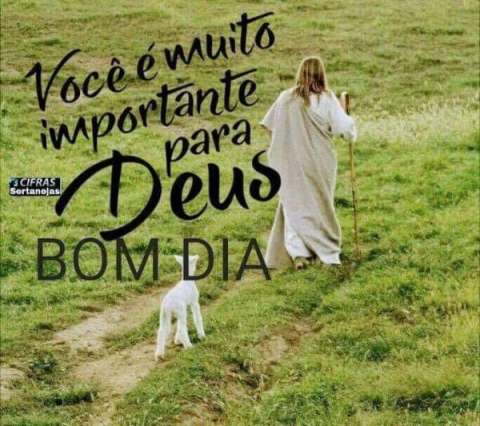 Meu ZapZap - Imagens Bom dia - Saudações para Whatsapp e Facebook Meu ZapZap - Imagens Bom dia - Saudações para Whatsapp e Facebook