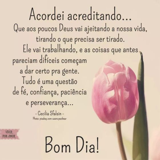 Meu ZapZap - Imagens Bom dia - Saudações para Whatsapp e Facebook Meu ZapZap - Imagens Bom dia - Saudações para Whatsapp e Facebook