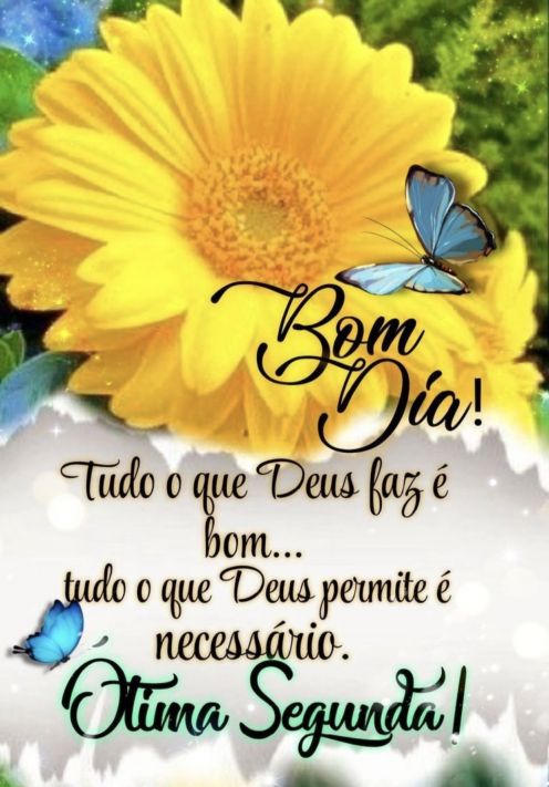 Meu ZapZap - Imagens Bom dia segunda-feira - Saudações para Whatsapp e  Facebook