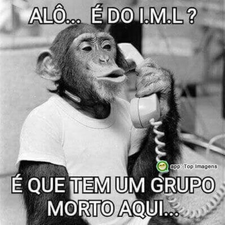 Meu ZapZap - Imagens Grupo morto - Engraçadas para Whatsapp e Facebook Meu ZapZap - Imagens Grupo morto - Engraçadas para Whatsapp e Facebook