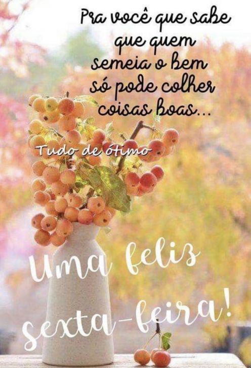 Meu ZapZap - Imagens Boa tarde sexta-feira relaxada - Saudações para  Whatsapp e Facebook